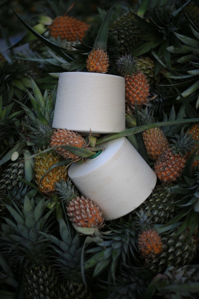 Hestia Fashion x Đối tác phát triển sợi Ananas